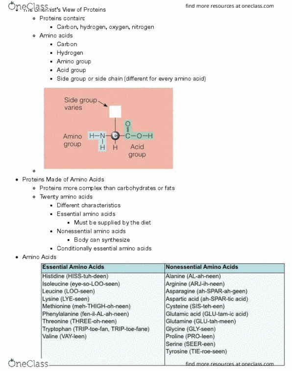 HUN-1201 Lecture Notes - Lecture 6: Tyrosine, Dietary Reference Intake, Tryptophan thumbnail