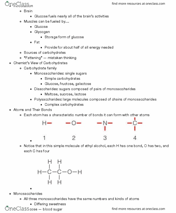 HUN-1201 Lecture Notes - Lecture 4: Glucagon, Hypoglycemia, Diabetes Mellitus Type 2 thumbnail