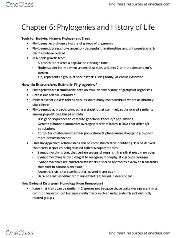 BIOL 1001 Chapter 6.1: 6.1 tools for studying history-phylogenetic trees thumbnail