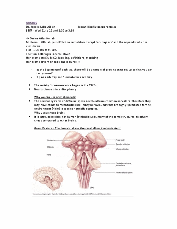 NROB60H3 Lecture Notes - Neurophysiology, Neurosurgery, Brainstem thumbnail