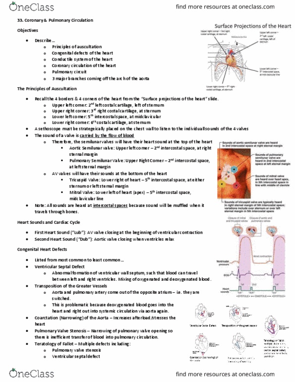 Anatomy and Cell Biology 3319 Lecture 33: Coronary and Pulmonary Circulation thumbnail