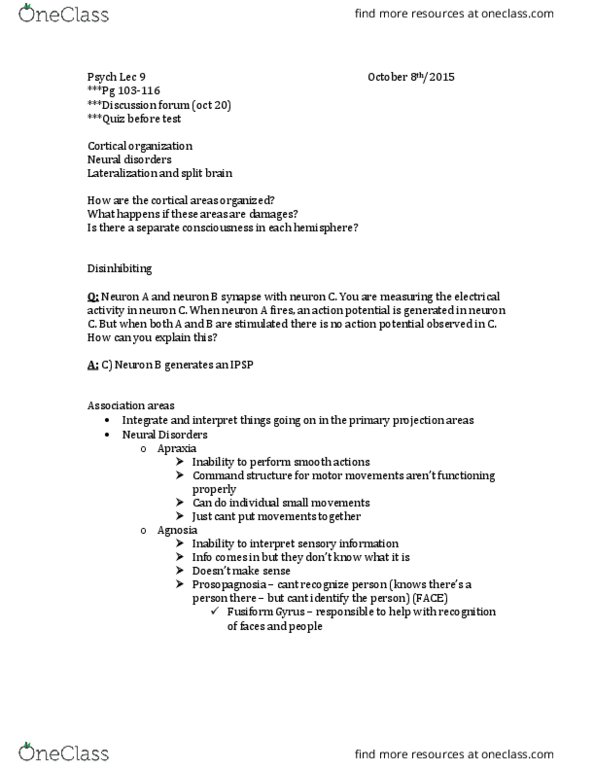 Psychology 1000 Lecture Notes - Lecture 9: Hemispatial Neglect, Frontal Lobe, Temporal Lobe thumbnail