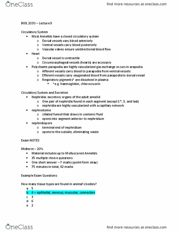 BIOL 2030 Lecture Notes - Lecture 9: Anthozoa, Turbellaria, Box Jellyfish thumbnail