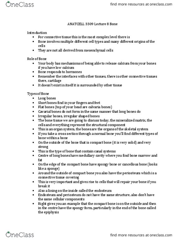 Anatomy and Cell Biology 3309 Lecture Notes - Lecture 8: Homeostasis, Bone Resorption, Bone Sialoprotein thumbnail