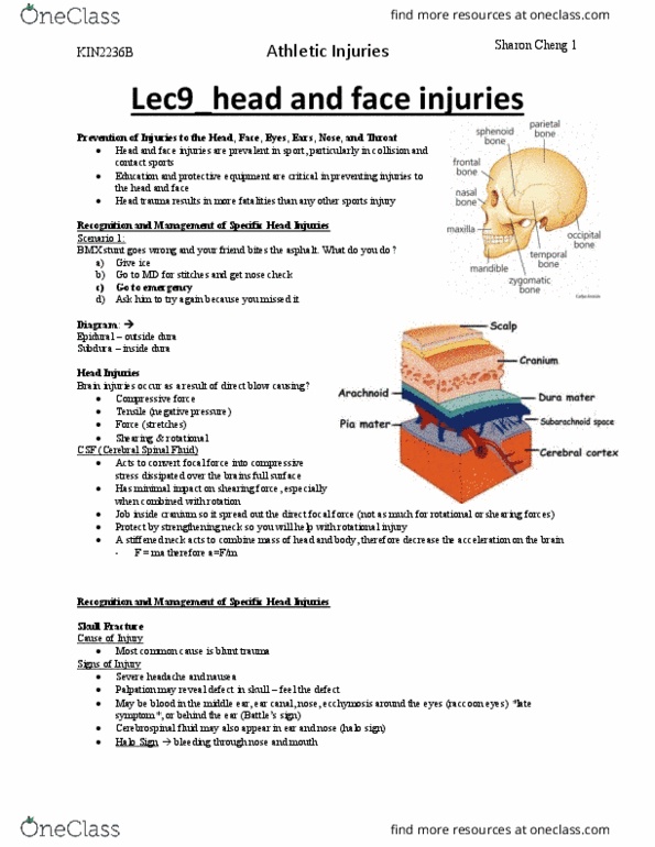 Kinesiology 2236A/B Lecture Notes - Lecture 9: Antihemorrhagic, Photophobia, Itch thumbnail