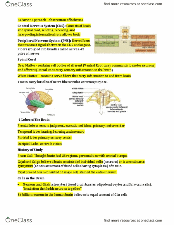 BIOL 1F25 Lecture Notes - Lecture 2: Growth Cone, Pipette, Metabolite thumbnail