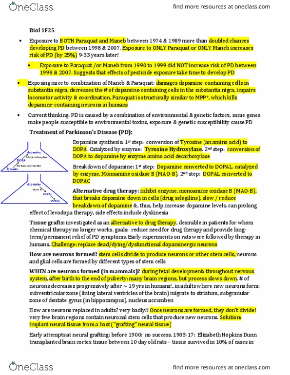 BIOL 1F25 Lecture Notes - Lecture 11: Midbrain, Putamen, Positron Emission Tomography thumbnail