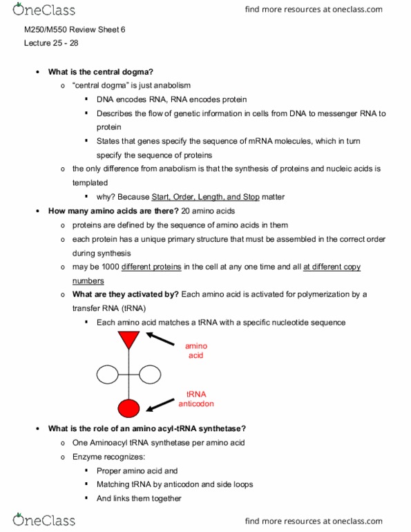 BIOL-M 250 Lecture Notes - Lecture 33: And Gate, Adenosine A2B Receptor, Disaccharide thumbnail