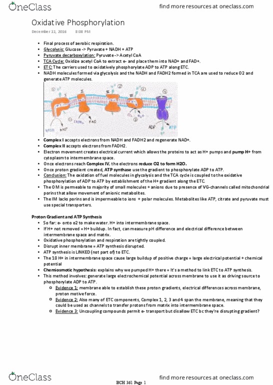 BCH 361 Lecture 9: Oxidative Phosphorylation thumbnail