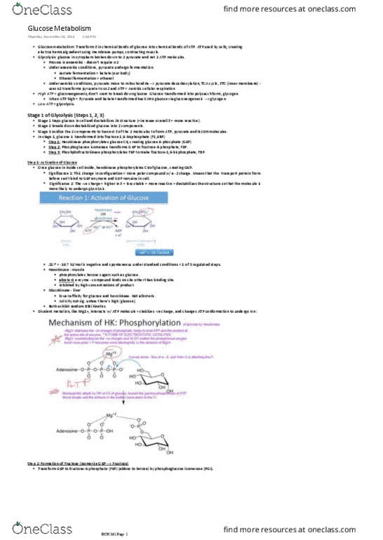 BCH 361 Lecture 1: Glucose Metabolism thumbnail