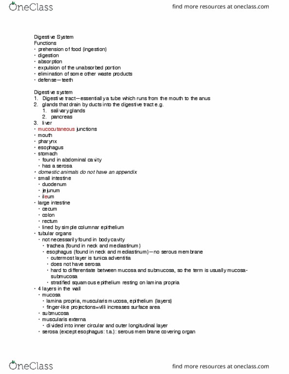 PVS 2100 Lecture 6: digestive system thumbnail