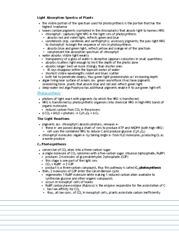 UNI101Y1 Chapter Notes - Chapter 3: Leaf, Ribulose, Rubisco thumbnail