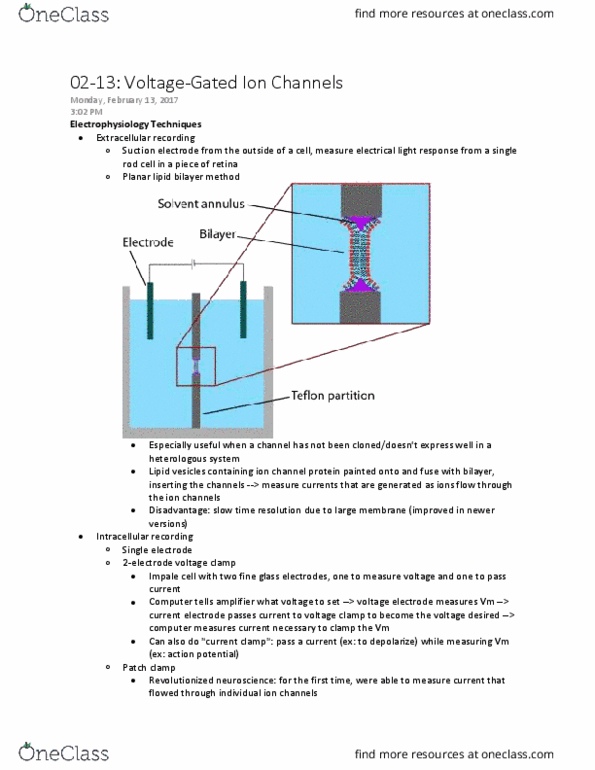 BIOL 1100 Lecture Notes - Lecture 3: Alpha Helix, Conformational Change, Voltage Clamp thumbnail