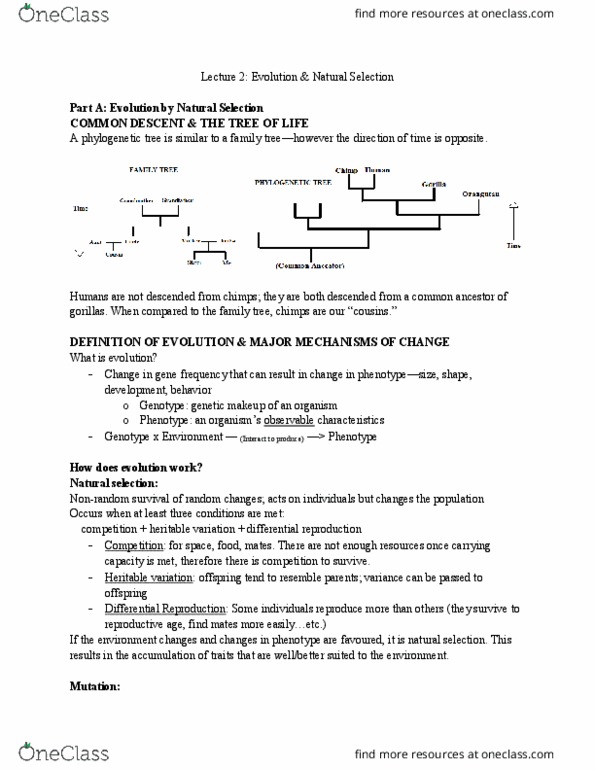 PSYC 3100 Lecture Notes - Lecture 2: Natural Selection, Phylogenetic Tree, Natural Disaster thumbnail