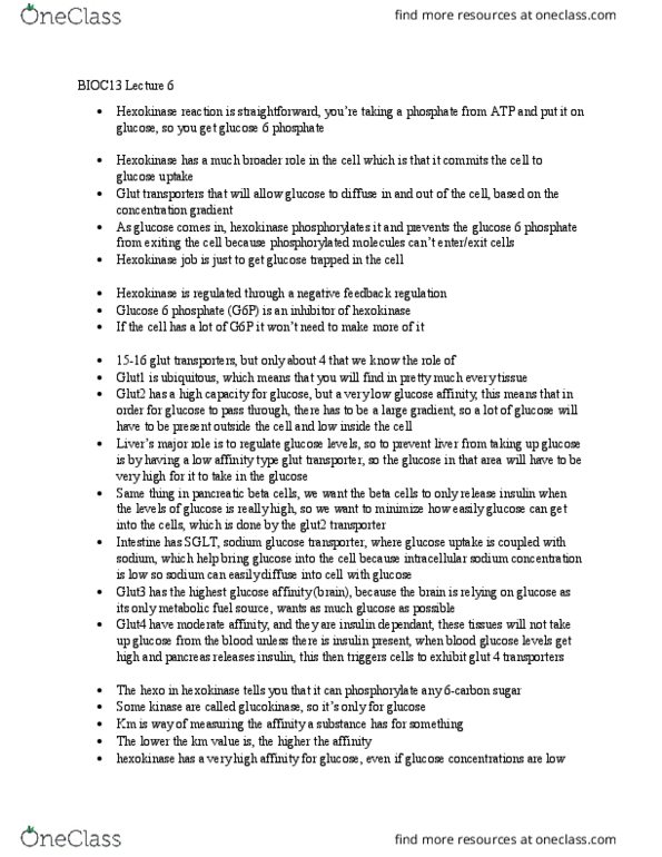 BIOC13H3 Lecture Notes - Lecture 6: Thioester, Gluconeogenesis, Adenylate Kinase thumbnail