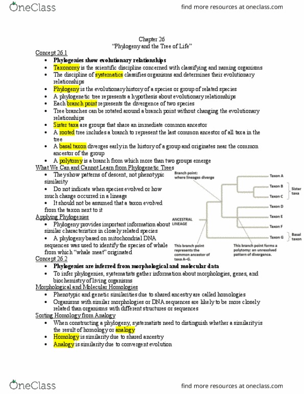 BIOL 102 Lecture Notes - Lecture 11: Paraphyly, Cladistics, Polyphyly thumbnail