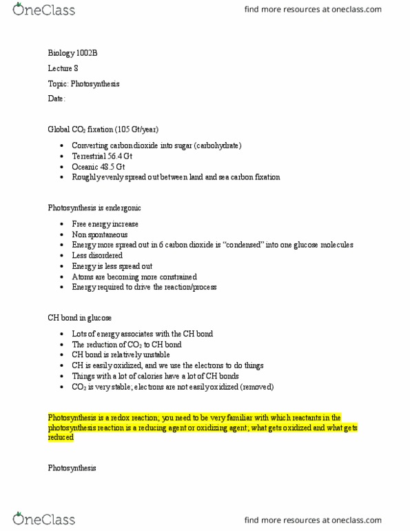 Biology 1002B Lecture Notes - Lecture 8: Anoxygenic Photosynthesis, Rubisco, Carbonic Anhydrase thumbnail