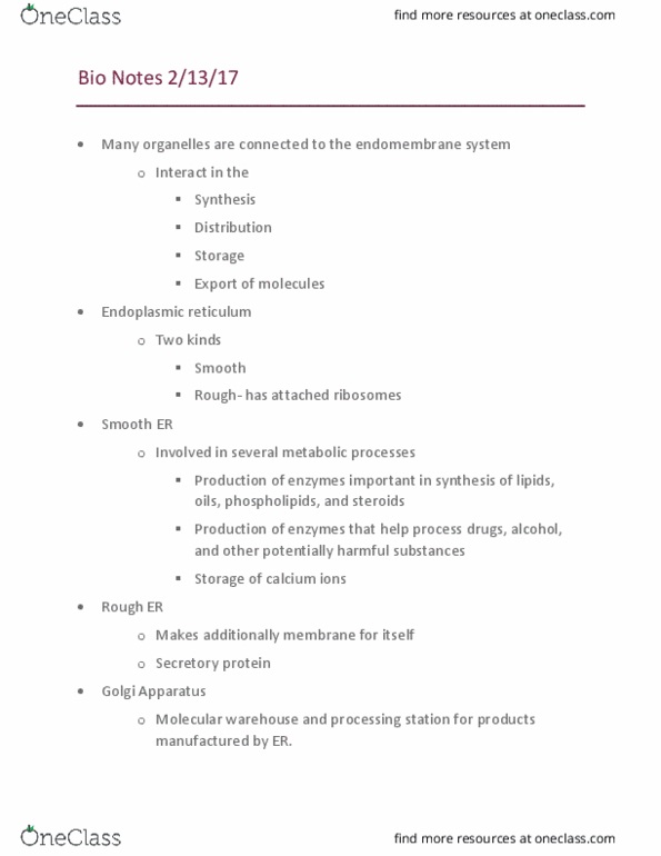 BIOL 1012 Lecture Notes - Lecture 10: Cytoskeleton, Inner Membrane, Mitochondrion thumbnail