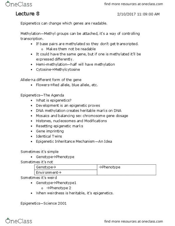 L & S C30Y Lecture Notes - Lecture 8: Microglia, Smooth Muscle Tissue, Osteoblast thumbnail