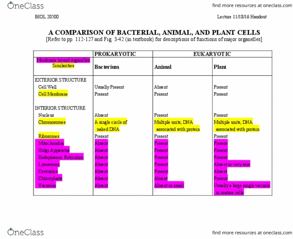 BIOL 20500 Lecture Notes - Lecture 14: Nuclear Membrane, Protoplasm, Cellular Respiration thumbnail