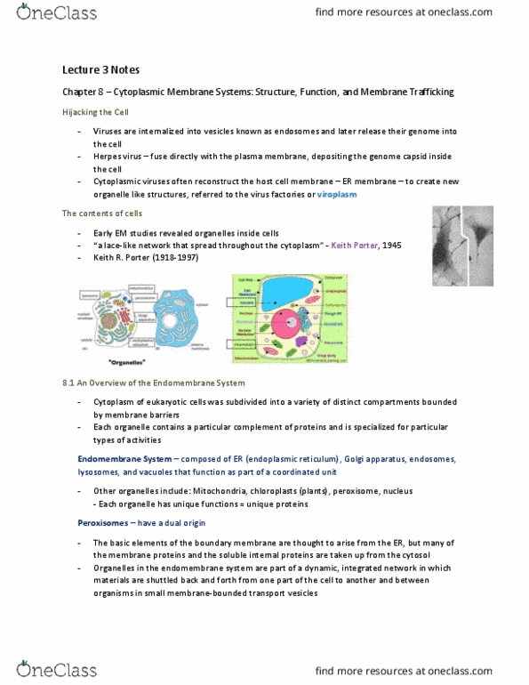 PSYB51H3 Lecture 3: Lecture 3 Notes Cytoplasmic Membrane Systems thumbnail