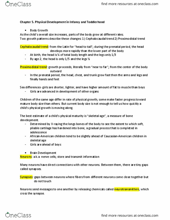 PSYCH211 Chapter 5: Chapter 5. Physical Development in Infancy and Toddlerhood (1/2) thumbnail