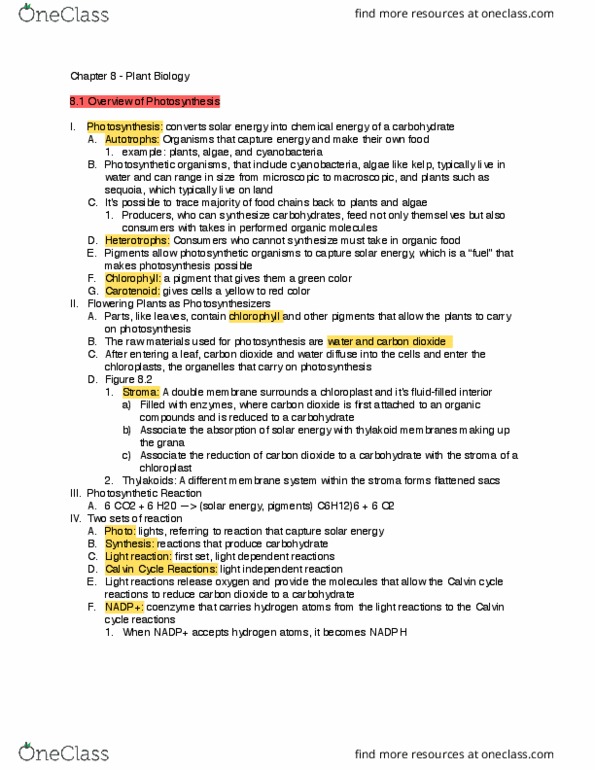 BIOL 1541L Lecture 1: Chapter 8 Plant Biology Textbook Notes thumbnail