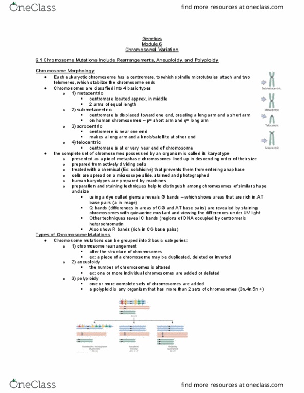 BIOL 2050 Chapter 6: Module 6 - Chromosomal Variation thumbnail