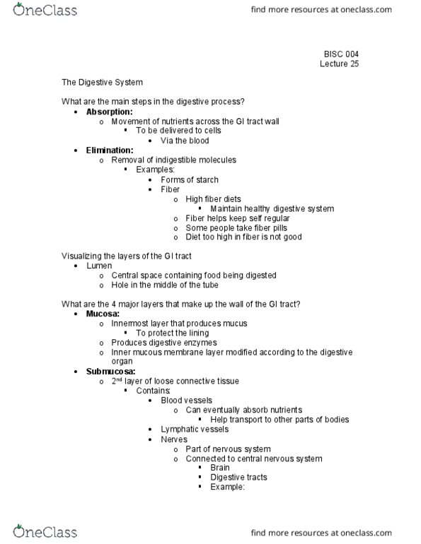 BI SC 004 Lecture Notes - Lecture 25: Submucosa, Rectum, Loose Connective Tissue thumbnail