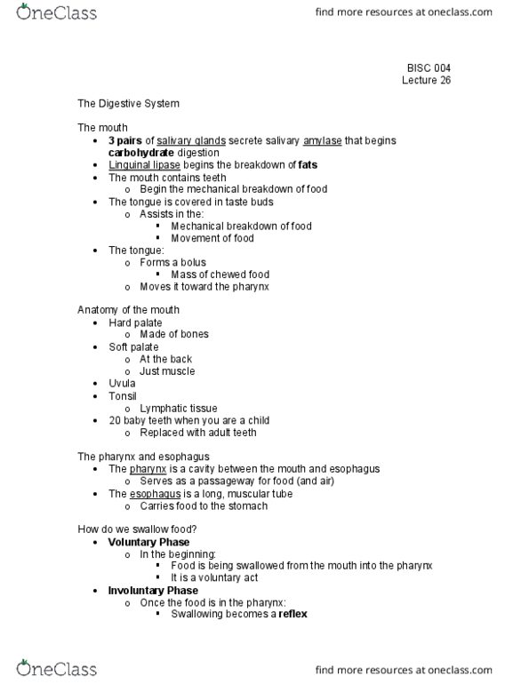 BI SC 004 Lecture Notes - Lecture 26: Gastric Glands, Pepsin, Peristalsis thumbnail