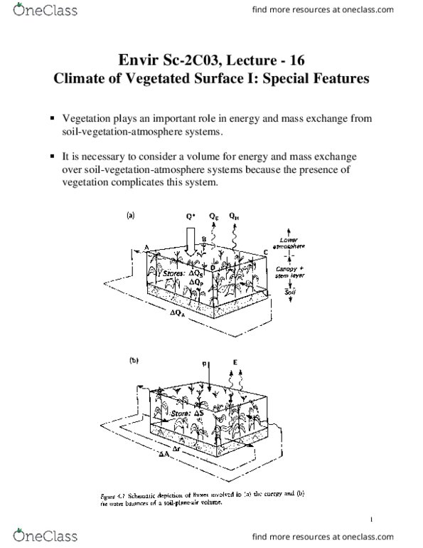 EARTHSC 2C03 Lecture Notes - Lecture 16: Soil, Stoma, Transpiration thumbnail