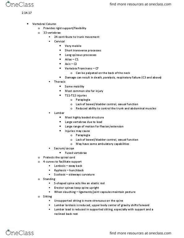 KIN 3309 Lecture Notes - Lecture 8: Brachial Plexus, Medulla Oblongata, Spinal Stenosis thumbnail