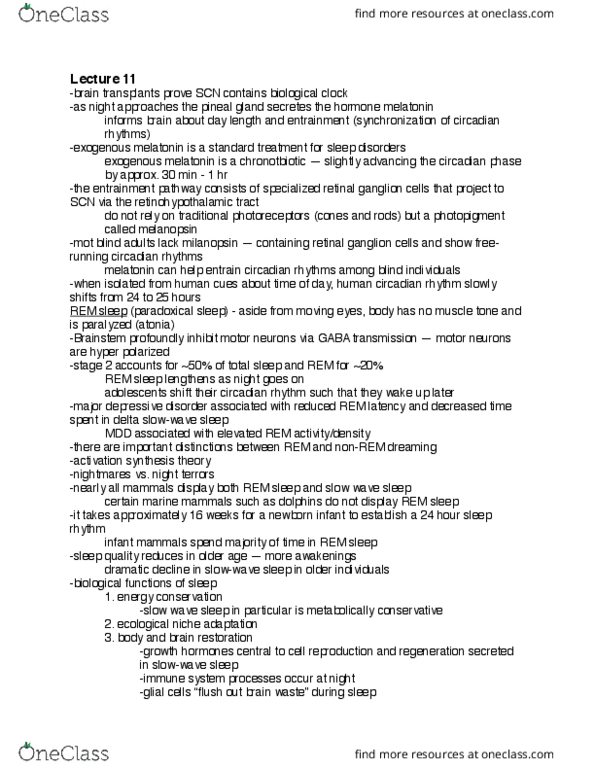 PSYCH 212 Lecture Notes - Lecture 11: Autonomic Nervous System, Neuroglia, Memory Consolidation thumbnail