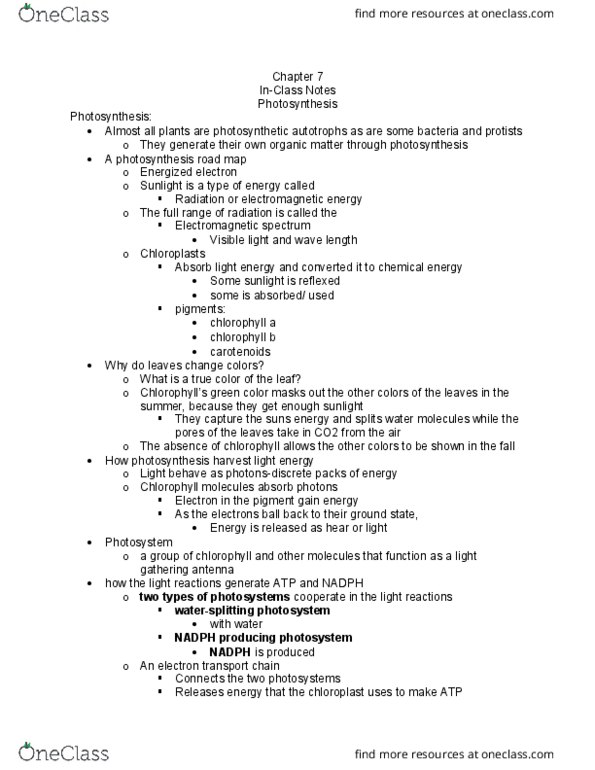 BSC 108 Lecture Notes - Lecture 11: Light-Independent Reactions, Photosystem, Light-Dependent Reactions thumbnail