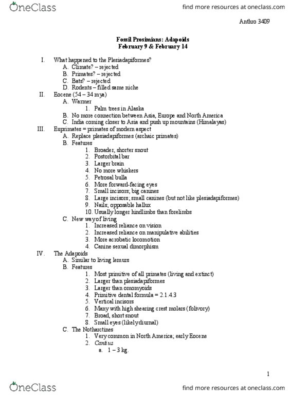 ANTHROP 3409 Lecture Notes - Lecture 8: Olfactory Bulb, Adapis, Darwinius thumbnail