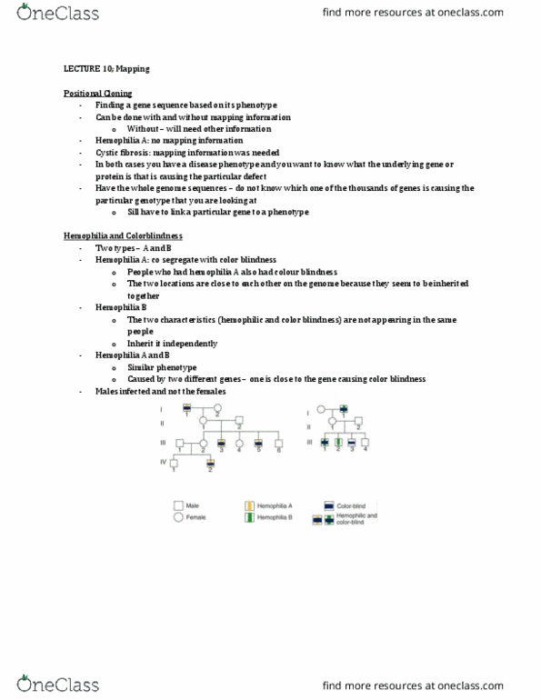 Biology 2581B Lecture Notes - Lecture 10: Base Pair, Restriction Enzyme, Wild Type thumbnail