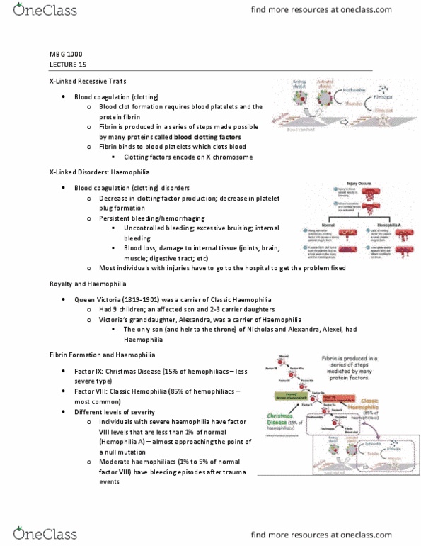 MBG 1000 Lecture Notes - Lecture 15: Zygosity, Haemophilia, Factor Viii thumbnail