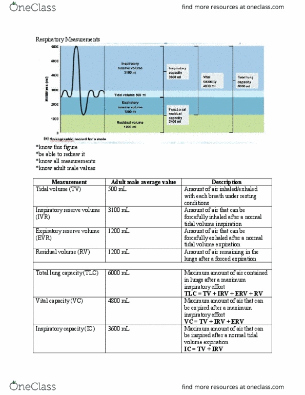 BIOL 143 Lecture Notes - Lecture 6: Spirometer, Asthma, Lung Volumes thumbnail