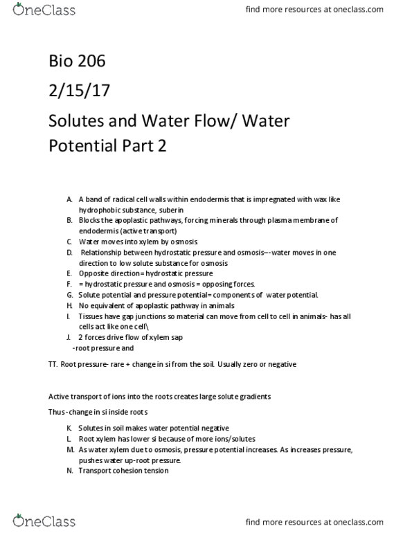 BIOL 206 Lecture Notes - Lecture 19: Water Balance, Water Column, Stoma thumbnail
