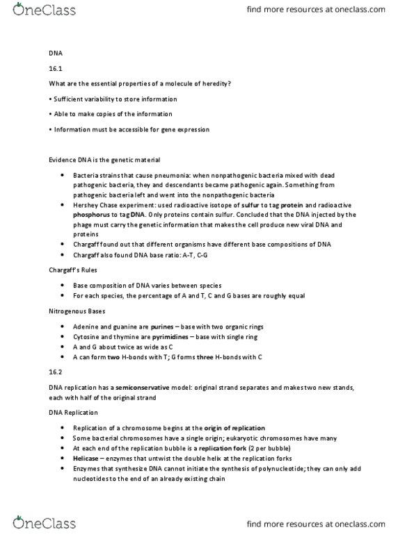 BIO 311C Chapter Notes - Chapter 16: Euchromatin, Endergonic Reaction, Covalent Bond thumbnail