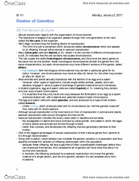 BI111 Chapter 4: Texbook- Genetics thumbnail