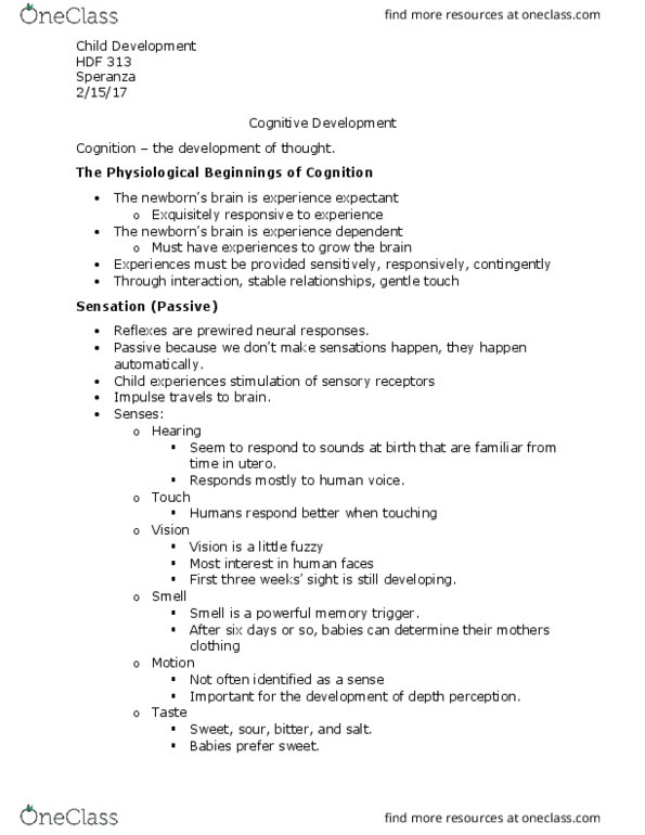 HDF 313 Lecture 7: Cognitive Development thumbnail