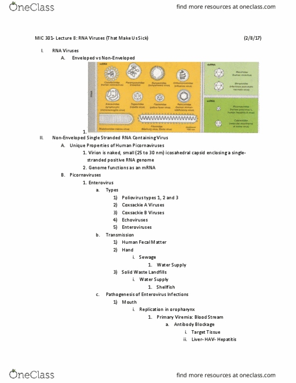 MIC 301 Lecture Notes - Lecture 8: Measles, Croup, 6 Years thumbnail