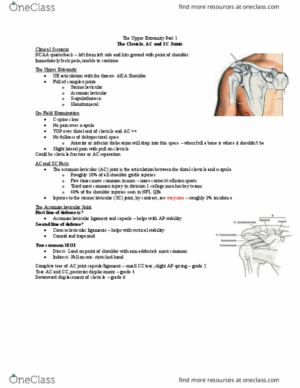 Kinesiology 3336A/B Lecture 12: 12 The Upper Extremity Part 1 thumbnail