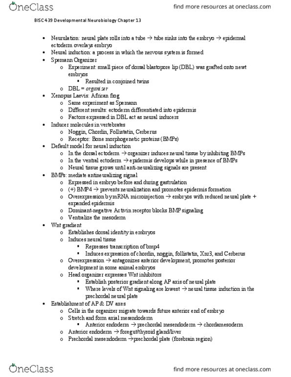 BISC439 Chapter Notes - Chapter 13: Motor Neuron, Smoothened, Anatomical Terms Of Location thumbnail