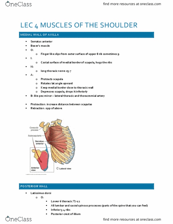 document preview image