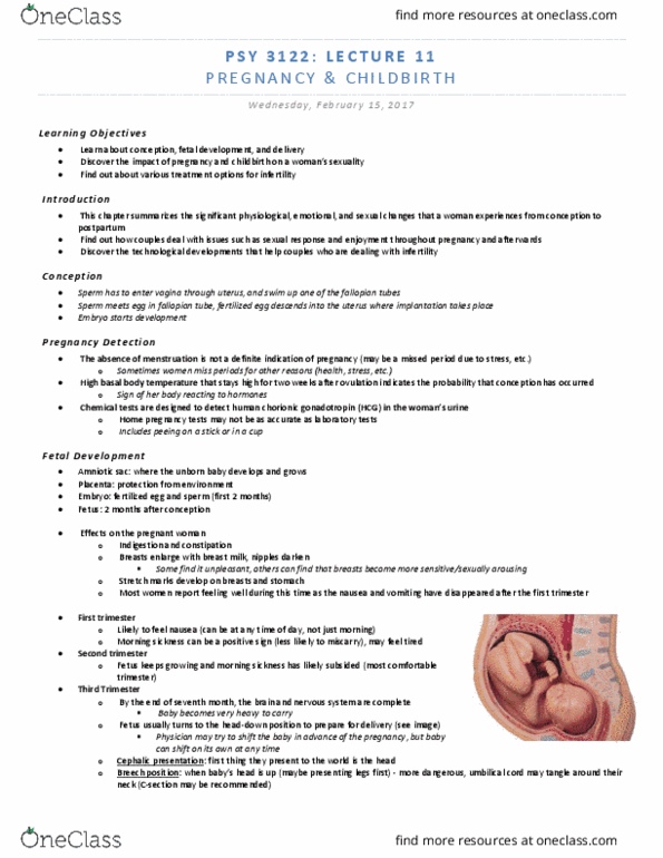PSY 3122 Lecture 11: Pregnancy & Childbirth thumbnail