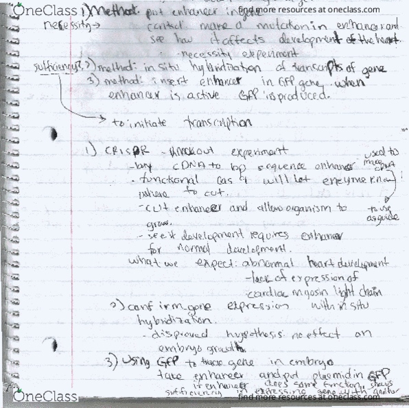 BIOL 414 Lecture Notes - Lecture 7: .Ql thumbnail