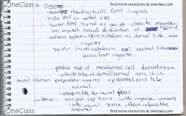 BIOL 414 Lecture Notes - Lecture 10: Swiss 1Jj Tarot thumbnail