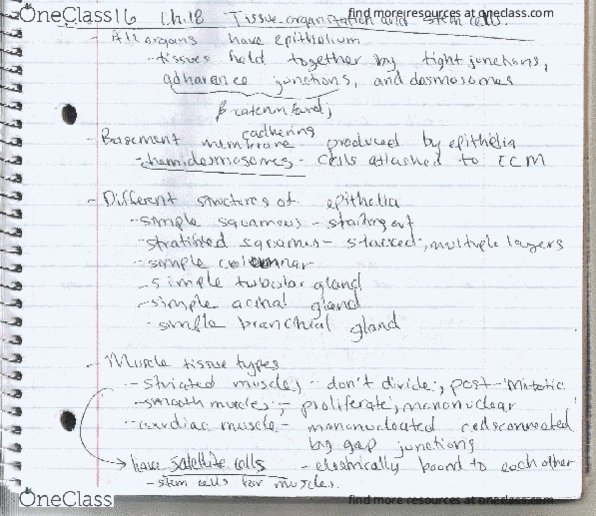 BIOL 414 Lecture 18: Day18 thumbnail